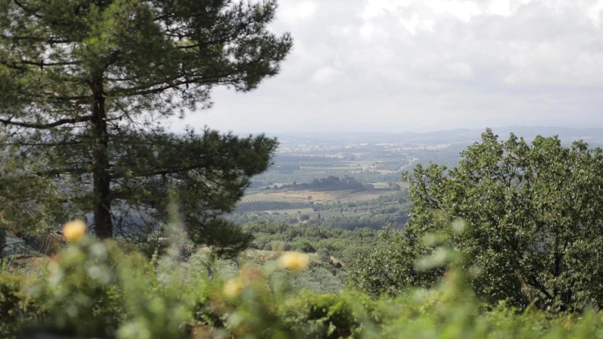 Sentire - Vegetarian Tuscan Villa & Resort Viciomaggio 0*,  Italy
